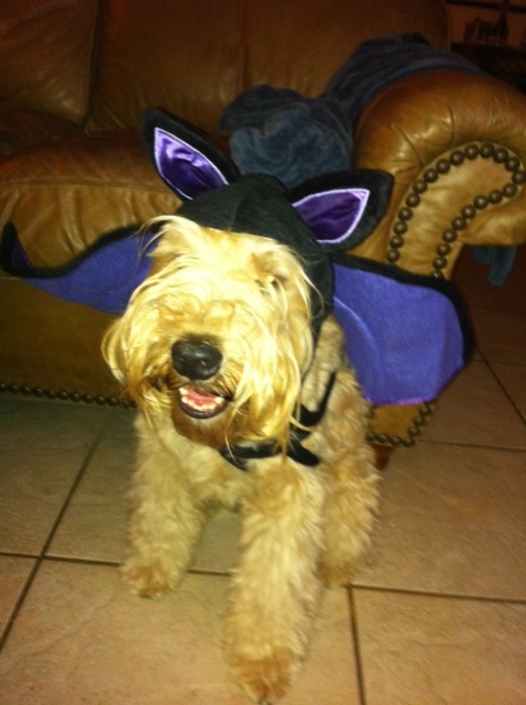 Mack's son Skyler is ready to go trick or treating!