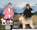 4/4/15 BC All Terrier (Chilliwack BC Canada) - Wyoma Clouss