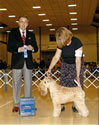 3/26/11 - 1pt - Penisula Dog Fanciers (Bremerton WA) - Elliott Weiss