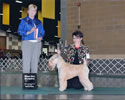 6/11/11 - 1pt - Puyallup Valley Dog Fanciers (Puyallup WA) - Charlotte Patterson