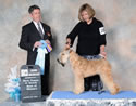 11/22/2014 - Elsie Murray Canine Centre Society (Surrey BC Canada) - Bruce Fraser